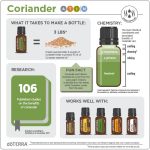 doTERRA Olejek eteryczny z kolendry (Coriander) (15ml) - obrazek 4