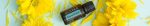 doTERRA Olejek eteryczny z mięty pieprzowej (15ml) - obrazek 3