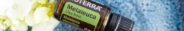 doTERRA Olejek eteryczny z drzewa herbacianego (Melaleuca) (15ml) - obrazek 2