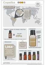 doTERRA Olejek eteryczny Copaiba (15ml) - obrazek 3