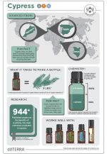doTERRA Olejek eteryczny cyprysowy (Cypress) (15ml) - obrazek 2
