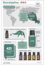 doTERRA Olejek Eukaliptusowy (15ml) - obrazek 3