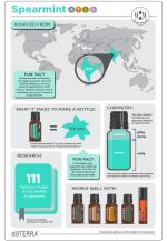 doTERRA Olejek eteryczny z mięty pieprzowej (15ml) - obrazek 2