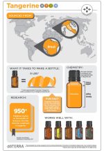 Olejek eteryczny doTERRA Tangerine (15 ml) - obrazek 4