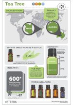 doTERRA Olejek eteryczny z drzewa herbacianego (Melaleuca) (15ml) - obrazek 4