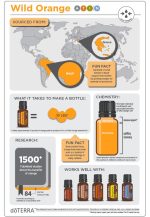 Olejek eteryczny doTERRA z dzikiej pomarańczy (15ml) - obrazek 3