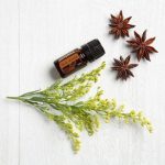 doTERRA Olejek eteryczny z anyżu gwiazdkowego (Star Anise) (5ml)