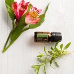 Olejek eteryczny doTERRA Summer Savory (cząber) (5ml)