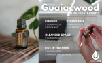 Olejek eteryczny doTERRA Guaiacwood (15ml) - obrazek 6