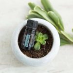 doTERRA Black Pepper (Czarny Pieprz) Olejek Eteryczny (5ml)
