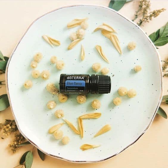 Blue-Tansy-Oil doTERRA Blue Tansy Olejek Eteryczny (5ml) - obrazek 1