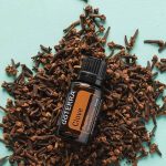 doTERRA Clove (Goździk) Olejek Eteryczny (15ml)