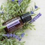 doTERRA Lavender (Lawenda) Olejek Eteryczny (15ml)