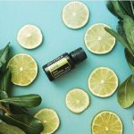 doTERRA Lime (Limonka) Olejek Eteryczny (15ml)