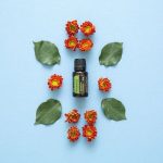 doTERRA Rosemary (Rozmaryn) Olejek Eteryczny (15ml)