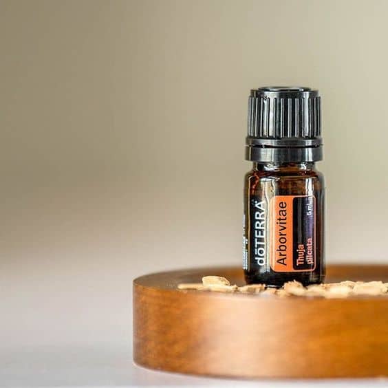 doTERRA-Arborvitae-etherische-olie doTERRA Arborvitae (Żywotnik) Olejek Eteryczny (5ml) - obrazek 1