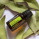 doTERRA Lemon Eucalyptus Olejek Eteryczny (15ml)